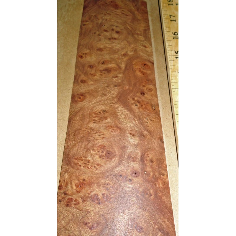 Carpathian Elm Burl wood veneer 3"-3.5" x 10"-13" raw no