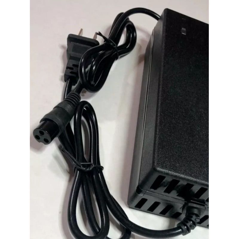 coming data fast 3A Charger for iENYRID M4 pro s+