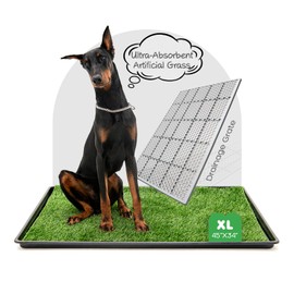 ATBOMA Dog Grass Pad with Tray, 45×34in XL Litter Box, 2×Grass Pad for Dogs Potty Washable, Thick Soft Odor-Free Hemmed Dog Pee Grass , Indoor Potty Training Balcony
