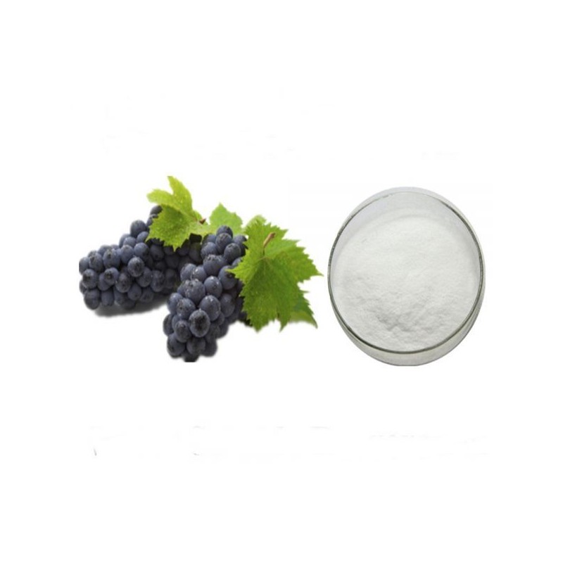 콩코드포도농축분말 100g 샘플 Concord Grape Concentrate Powder 100g Sample