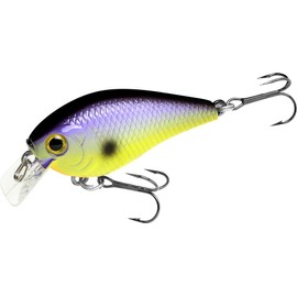 Lucky Craft USA LC 0.5 Silent Fishing Lure Crankbait (987B KZO Purple)