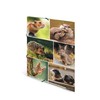 HERMA Portfolio Folder A4 Rodents, Children's Corner Folder Made of