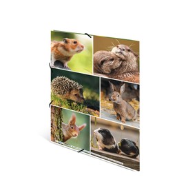 HERMA Portfolio Folder A4 Rodents, Children's Corner Folder Made of Cardboard with Animal Motif, Elastic Band, Inner Flaps and Inner Print for Boys and Girls