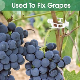 PEASUG 150 Pcs Plant Clips – Support for Climbing Plants, Tomatoes, & Vines