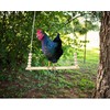 Bird Swing Wooden Hanging Chicken Swing Stand Suspension Bridge Budgie