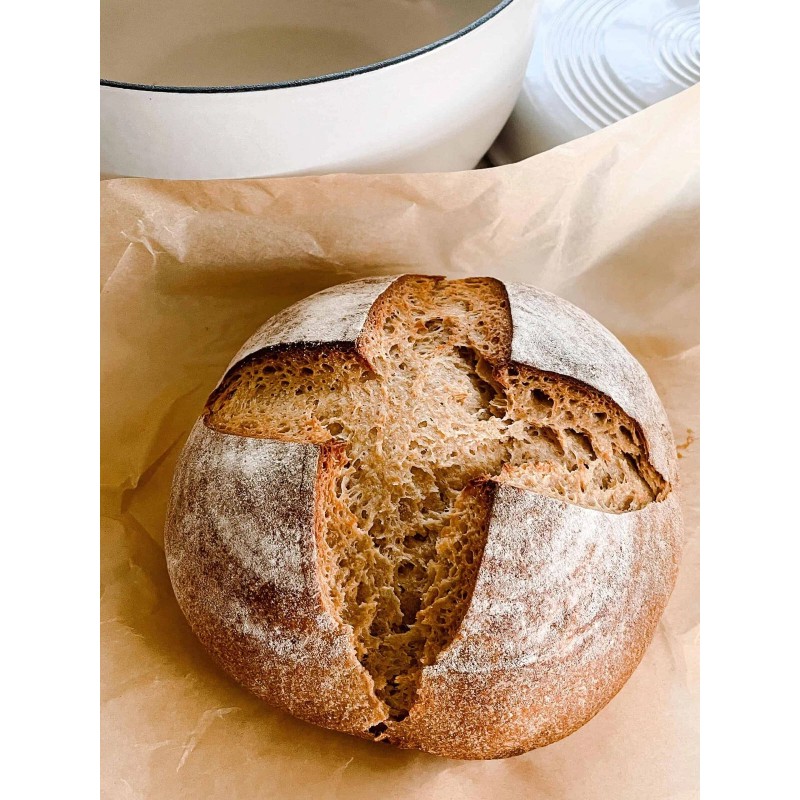 Heritage Sour SOURDOUGH STARTER DEHYDRATED 3rd Generation ITALIAN - 15