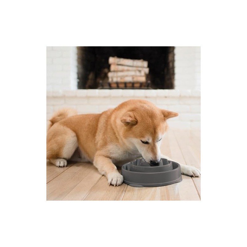 Outward Hound Fun Feeder Slo Bowl, Slow Feeder Dog Bowl,