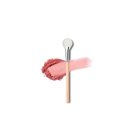 160 Blusher Fan Brush / 160 블러셔 팬 브러쉬