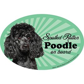 Poodle (Black) Car Magnets: Spoiled Rotten Poodle (Black) - Oval 6" x 4" Auto/ Truck/ Refrigerator/ Mailbox (Funny Car Decals, Dog Magnet, Poodle (Black)