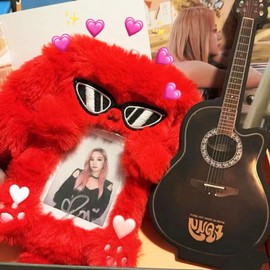 Hayaww Kpop Photo Card Holder, Plush Card Holder, Photo Card Holder Made of Plush with Cartoon Motif, Photo Sleeves, ID Cover In, Protective Cover for ID Cards, Card Case, Idol Photos, Student ID