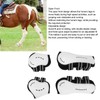 Horse Tendon Boots Shock Absorbing Adjustable Horse Front Hind Boots
