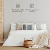 Blumtal Terry Fitted Sheet 120 x 200 cm – Cosy,
