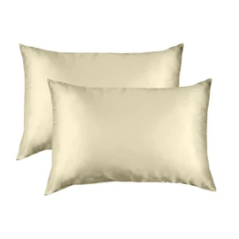 Royal Comfort Pillowcase Set Mulberry Silk Breathable Ultra Soft For Hair and Skin 51 x 76cm In Gift Box (Champagne, Set of 2)