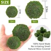 LOBUJOU 6pcs Moss Balls Decorative Faux Green Dried Artificial Moss