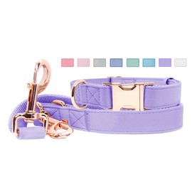 Soft Leather Dog Collar and Leash (6.6') Set - Stylish Rose Gold Heavy Duty Metal Buckle, 4 Adjustable Lengths Leash for Small Medium Large Dogs - Comfortable & Easy to Clean (M, Light Purple)