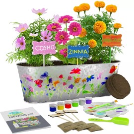 Dan&Darci Paint & Plant Flower Growing Kit-Grow Your Own Cosmos, Zinnia & Marigold Flowers