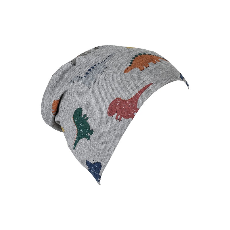 Sterntaler Baby Boys Hat Baby Beanie Hat Dinos, lightgrey