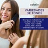 CELESTY Shampoo Matizador - Variedad Amarillo Azul Morado Negro Rojo