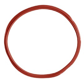 Buffalo Boiler Gasket for GF539 CN219