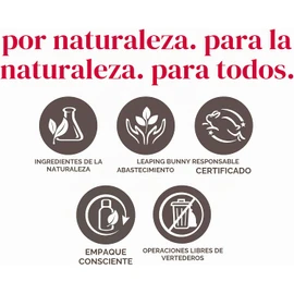 Burt's Bees - Brillo labial hidratante 100% natural, color champán, 1 tubo