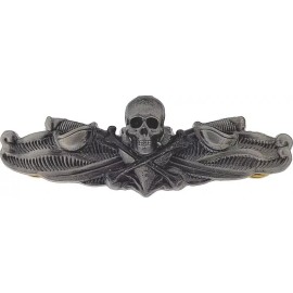 Enlisted Surface Warfare Specialist ESWS Oxidized Skull Bones Badge Naval Pin