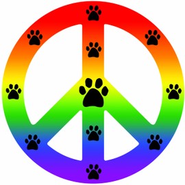 Imagine This Peace Car Magnet Sign, Rainbow, 41/2-Inch by 4-1/2-Inch