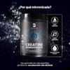 B Life Creatina Monohidratada en polvo 600g 120 Servicios 5