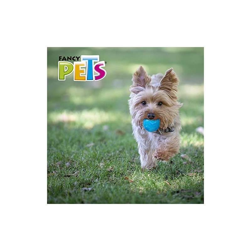 Fancy Pets Juguete Pelota Prisma para Perro con SonidoTamaño Chico