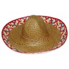 RINCO Embroidered Sombrero