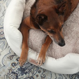 TOWN & COUNTRY EVERYDAY CuddleTown Faux Linen Comfy Cozy Cuddler Pet Bed, Supportive & Calming, Water Repellent, Non-Slip Bottom, Machine Washable Cover, Cream, XS 20"x14"x6"