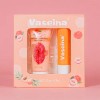 Balsamo Para Labios Hidratante Vaselina + Exfoliante 6 Duos