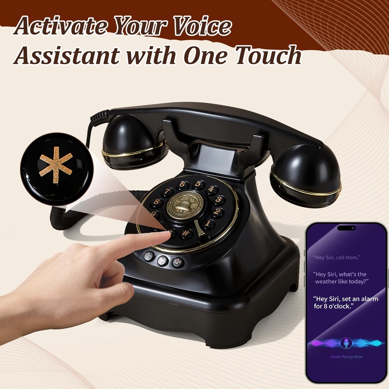 FiayaCom Bluetooth Landline Phone, Retro Rotary Phone with Speakerphone, Music