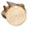 Raumvital Golden Plated Energy Disc 100 mm / 3.94 Inch