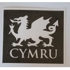 10 x Welsh Dragon Picture with Cymru Word Underneath Stencils