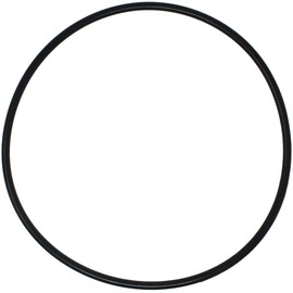 AppliaFit Body O-Ring Compatible with Pentair 87300400 for Clean & Clear, Predator, EasyClean and Warrior Filter Tank Systems (1-Pack)
