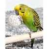 HEUHAI 12 Pack Colorful Bell Balls Bird Toys for Parakeets