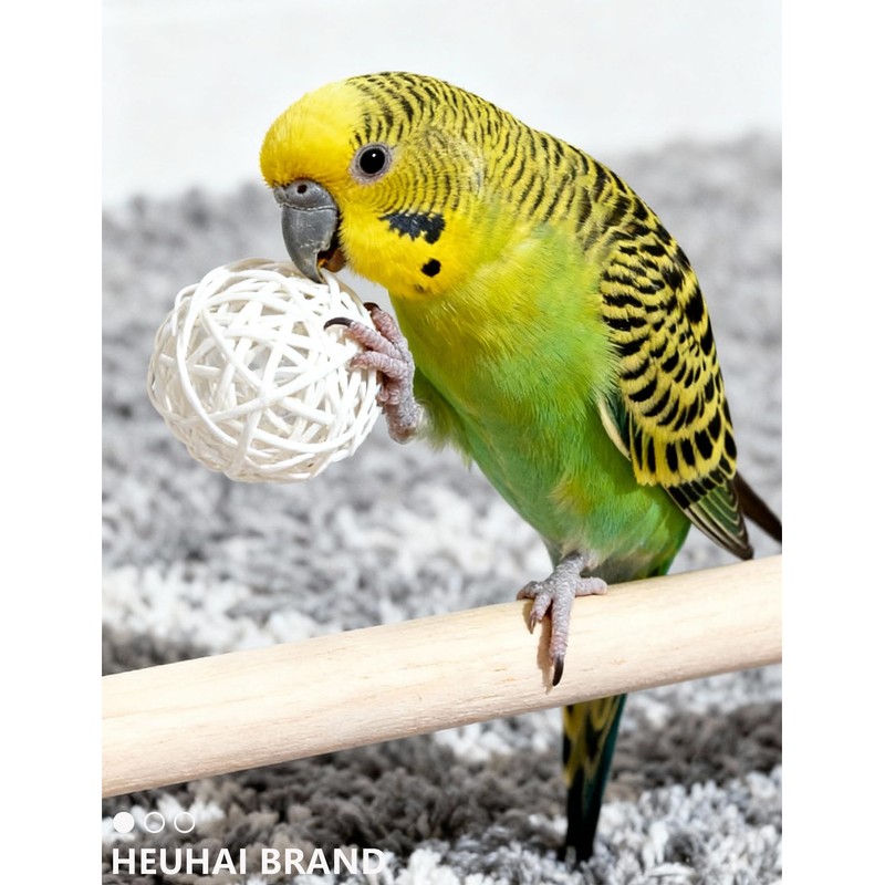 HEUHAI 12 Pack Colorful Bell Balls Bird Toys for Parakeets