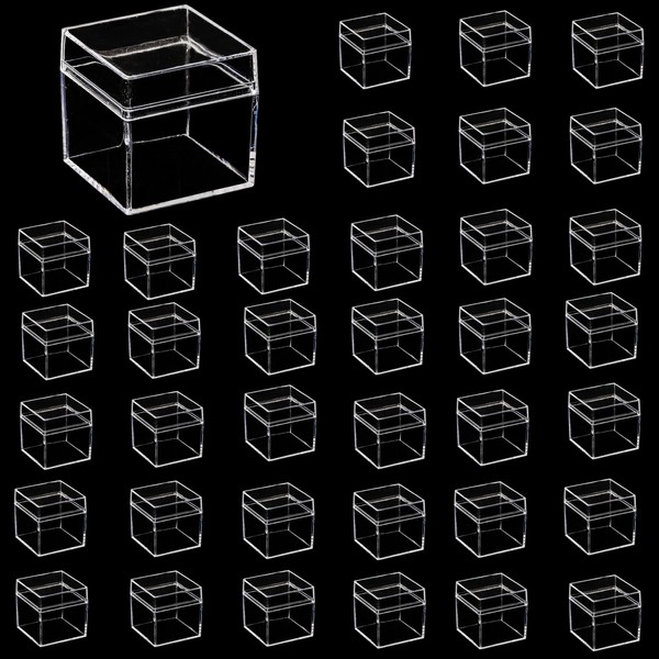 LyyGuanYoo 36 Pack Small Clear Boxes with Lids, 2x2x2 Inches