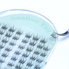 Char Cosmetics Swallow's Tail Cluster Lash 64pcs