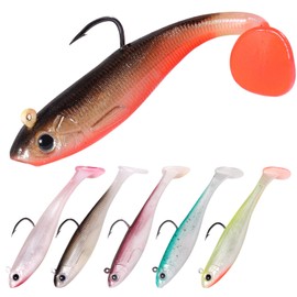 9KM DWLIFE Fishing Lures Pre-Rigged Soft Fishing Lures Bass Bait for Freshwater Saltwater Soft Plastic Lures for Bass Trout Walleye 6pcs