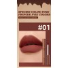Q Set De Lápiz Labial Mate Con 5/10 Colores, Brillo