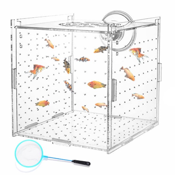 Acrylic Fish Breeding Box,Acrylic Fish Isolation Box with Suction Cups,Transparent