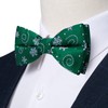 DiBanGu Boys Christmas Bowtie Set Silk Xmas Holiday Pre-tied Bowtie
