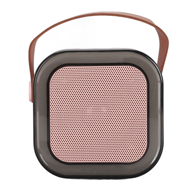 Portable Karaoke Machine LED Dynamic Light Small Bluetooth Speaker with
