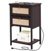 End Table with Charging Station, 2 Tier Rattan Decorated Nightstand
