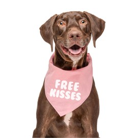 Free Kisses Dog Bandana | 100% Cotton Adjustable Triangle | Made in USA | Valentine's Day | Gift | Cute & Funny | Photoshoot Prop |Baby Pink, X-Small (727)