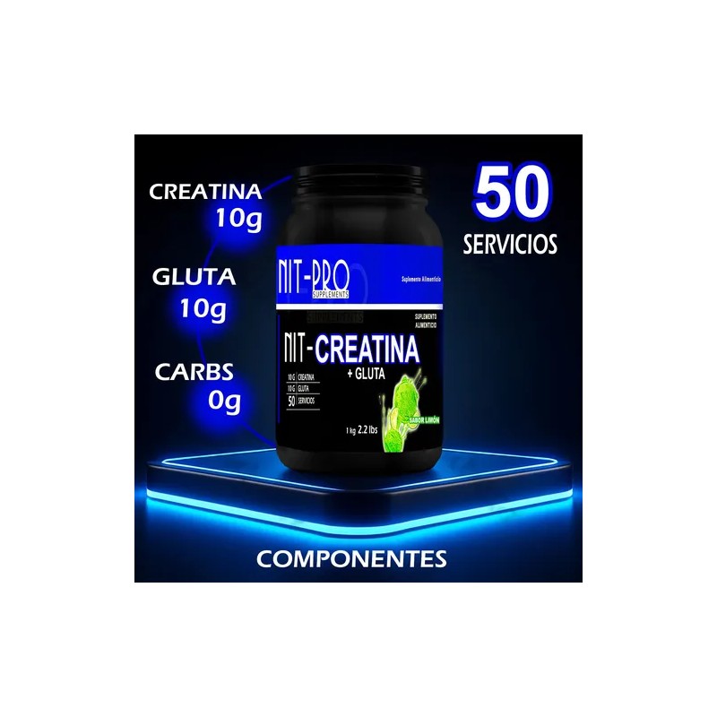 Suplemento Creatina + Glutamina Nit-pro 1kg En Polvo Sabores