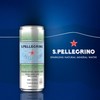 S.Pellegrino Sparkling Natural Mineral Water, Unflavored, 11.15 Fl. Oz (Pack