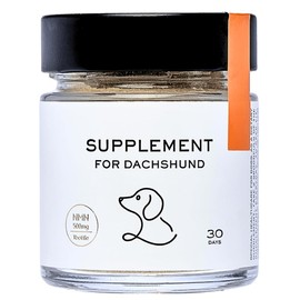 【リニューアル】BAUWAW ダックスフンド サプリメント（100g）犬用 [ 国産 人工香料・着色料 不使用 ]