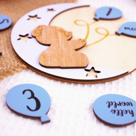 Bear Wooden Monthly Baby Milestone Cards, Baby Monthly Milestone Wood Discs, Baby Months Signs, Baby Milestone Discs, Interchangeable Milestone Cards, Baby Photo Props